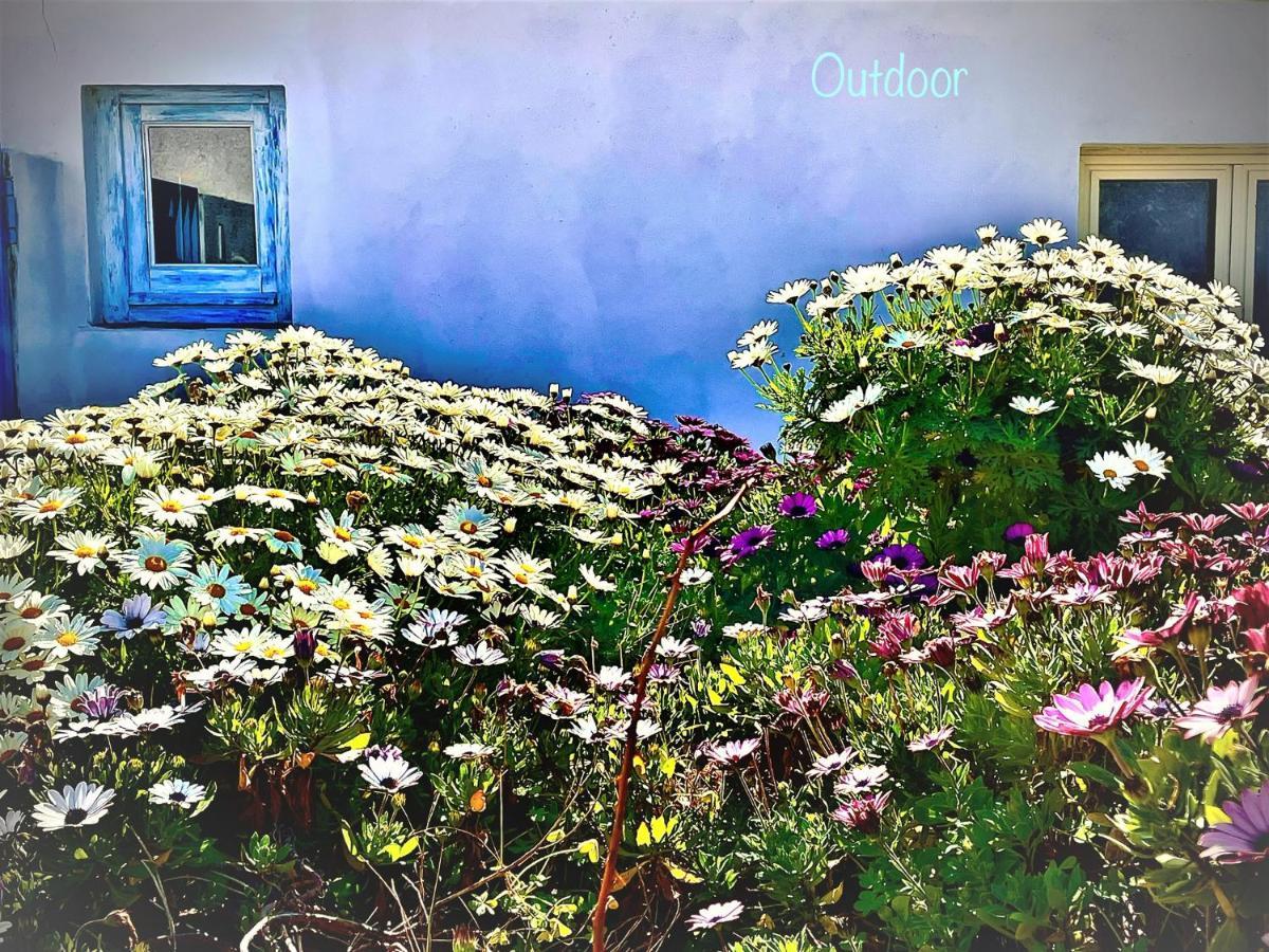 B&B Le Pavoncelle Sarde Flumini di Quartu Bagian luar foto